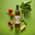 www.tamaraltd.com favicon